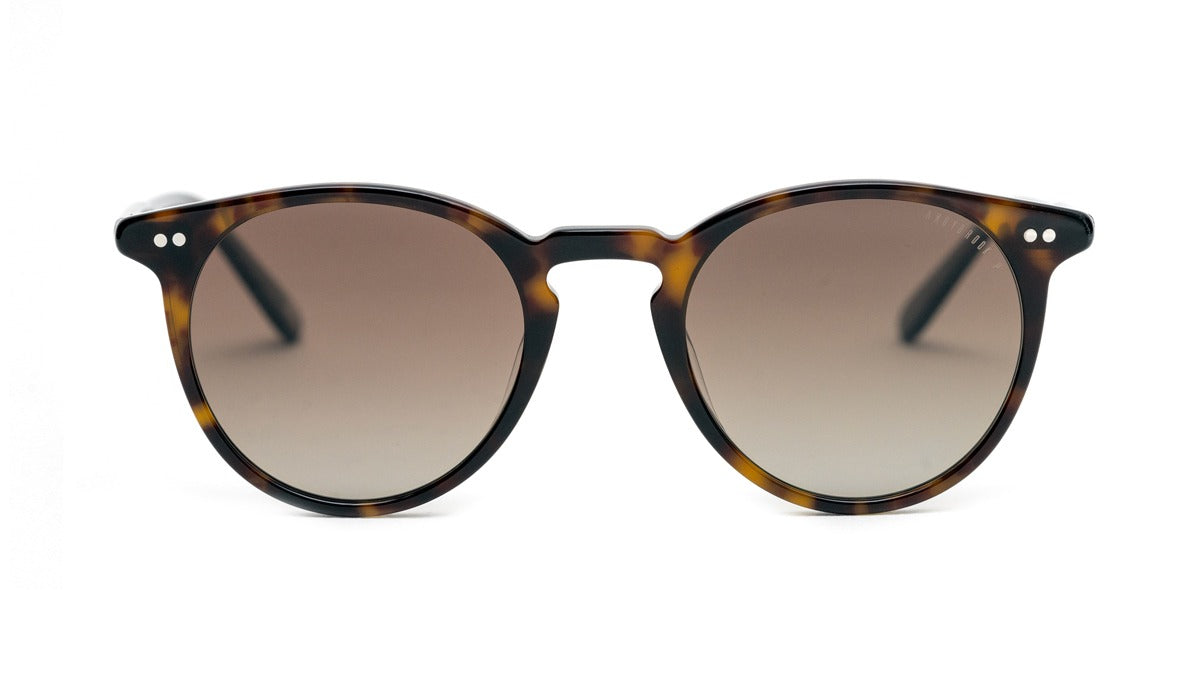Lunette de soleil Andy Brook Smith Polarisé C47F-P