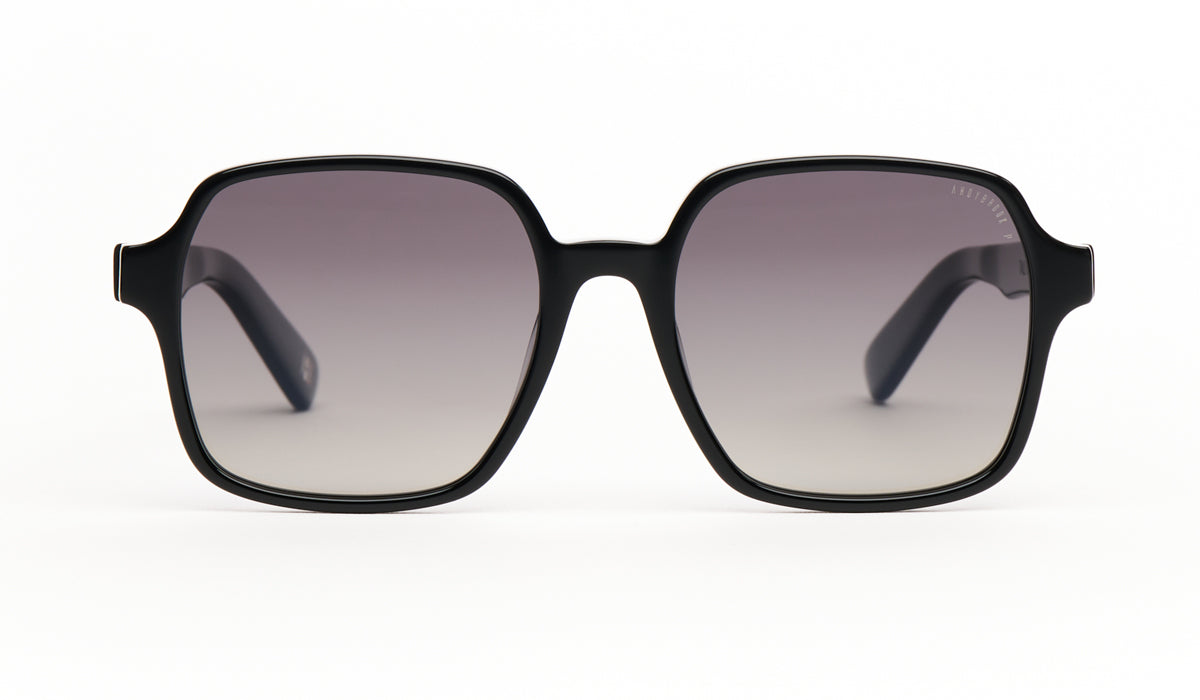 Women's Sunglasses Andy Brook Tali Polarized C01B-P