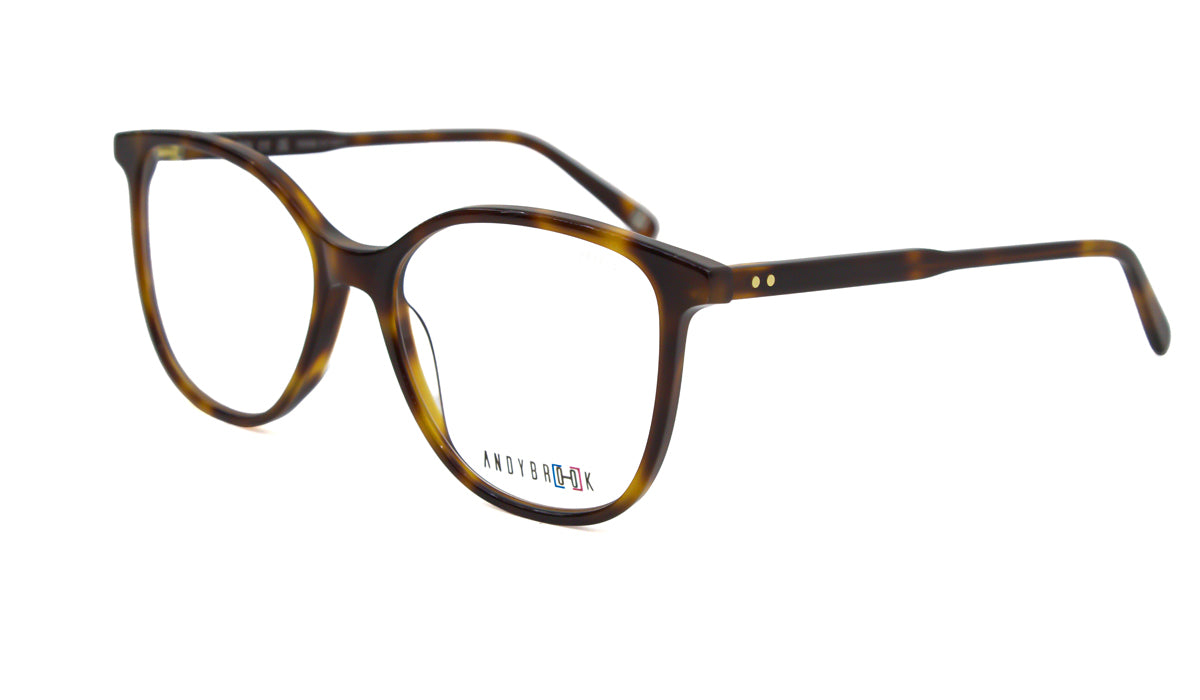 Eyeglasses Andy Brook Beverley c101