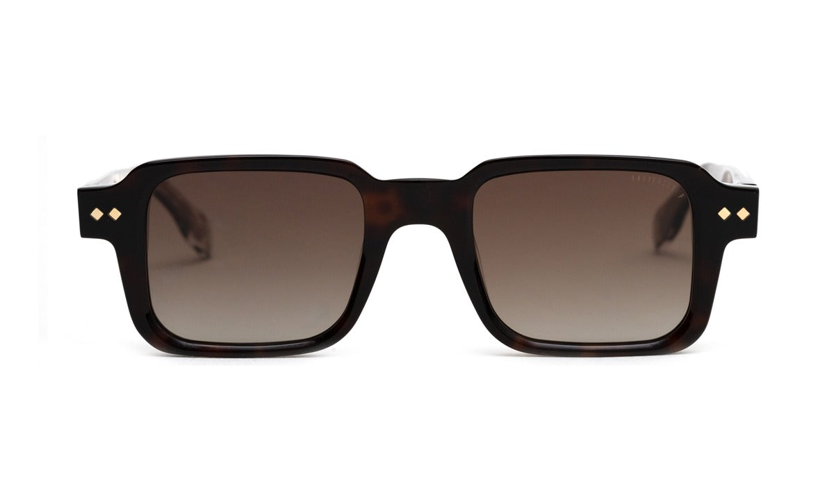 Lunette de soleil Andy Brook Exton Polarisé C947F-P
