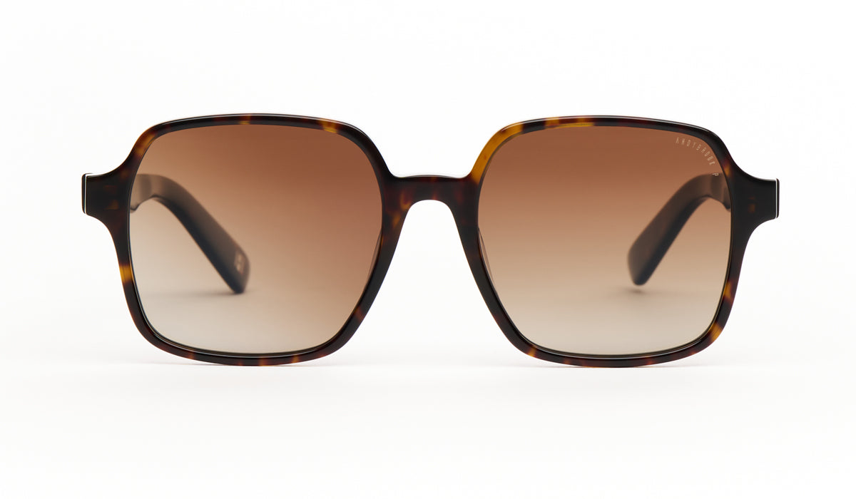 Lunette de soleil femme Andy Brook Tali Polarisé C47F-P