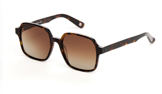 Lunette de soleil femme Andy Brook Tali Polarisé C47F-P
